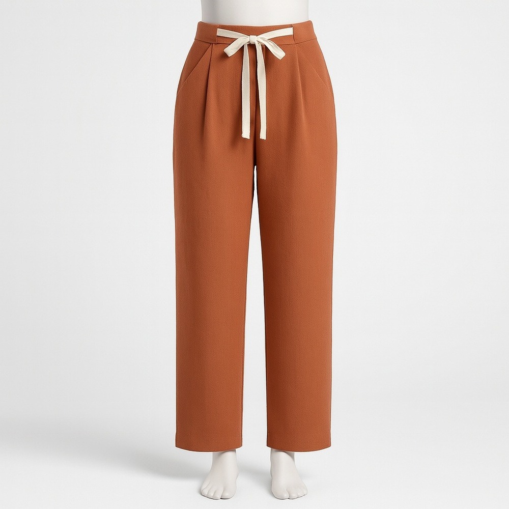 Aritzia Rust Ankle Pants with Cream Tie